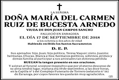 María del Carmen Ruiz de Bucesta Arnedo